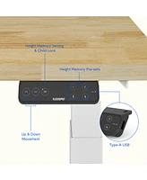 Flexispot E7-commercial 48 W Electric Adjustable Standing Desk, Rubber Wood Top, White Base