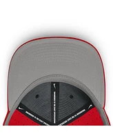 Nike Men's Scarlet Ohio State Buckeyes On-Field Dugout True Performance Fitted Hat