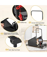 Indoor Pet Exercise Equipment with Remote Control