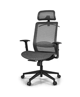 Height Adjustable Ergonomic High Back Mesh Office Chair with Hange