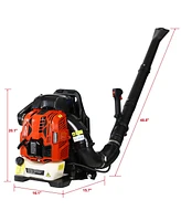 76CC 4 Stroke Gasoline Blower Epa Compliant