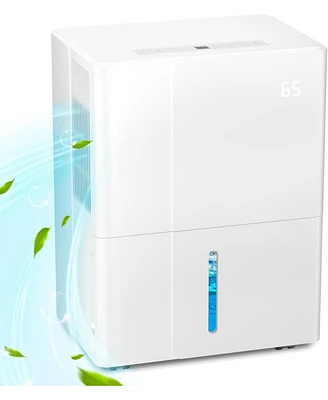 Zafro 25-Pint Dehumidifier for Home & Bedrooms, 2000 Sq. Ft. Coverage, 1.2Gal Water Tank, Smart Controls & Timer for Medium Rooms