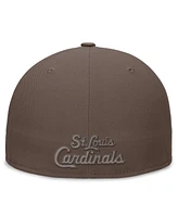 Nike Men's Brown St. Louis Cardinals Statement Ironstone Performance True Fitted Hat