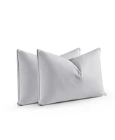 Unikome Goose Feather 2-Pack Pillows