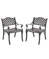 2 Pcs Outdoor Dining Chairs Cast Aluminium Patio Chair Set of Bistro Chairs, Bronze