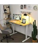 48 Inches Electric Standing Adjustable Desk with Control Panel and Usb Port
