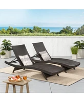 Brown Wicker Adjustable Lounge Chair Set