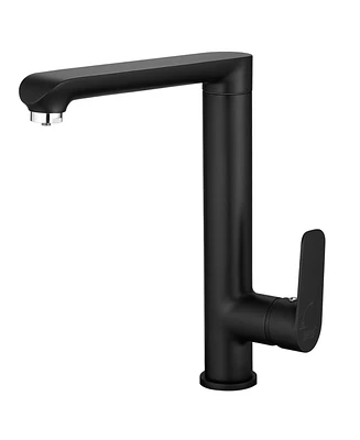 Single Handle Standard Kitchen Faucet in Matte Black