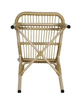 Outdoor Wicker Patio Dining Chairs (Set of 2), Natural