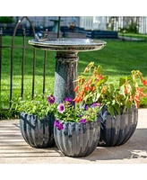 Toulon Outdoor Ceramic Bird Bath - 24.5" H - Uv- and Frost-Resistant - Glazed Bowl - Black Mist Glaze