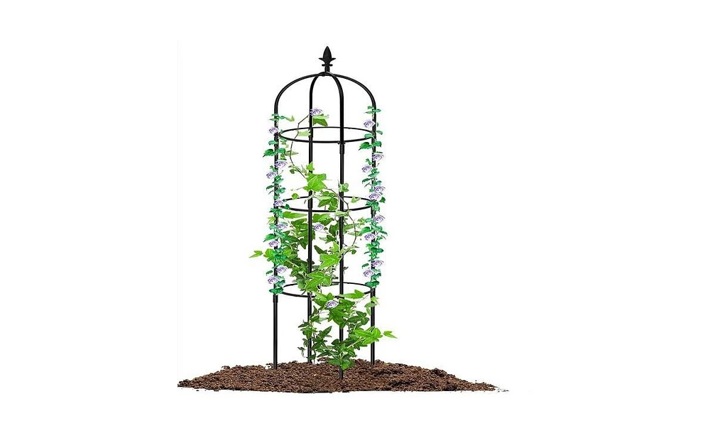 Garden Obelisk Trellis for Climbing Plants and Elegant Outdoor Decor