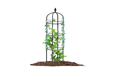Garden Obelisk Trellis for Climbing Plants and Elegant Outdoor Decor