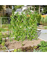 U-Shaped Tall Garden Arched Trellis for Climbing Plants