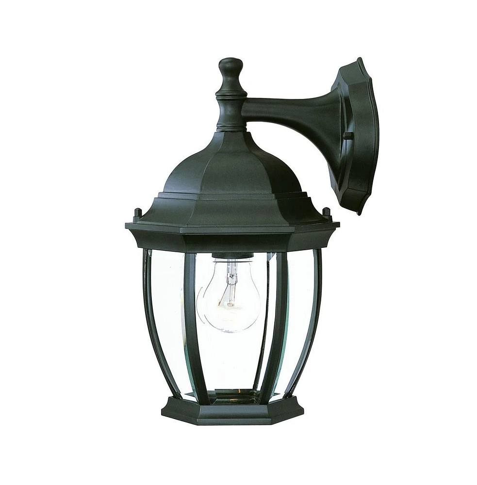 Wide Hanging Lantern Wall Light for Outdoor and Indoor Lighting