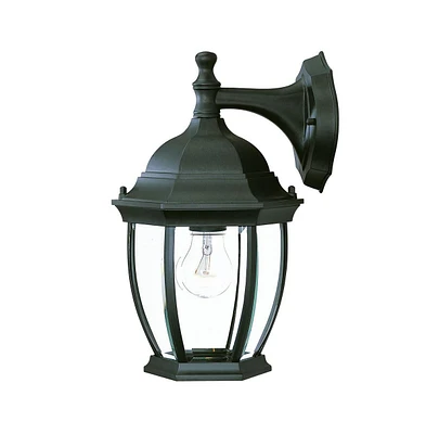Wide Hanging Lantern Wall Light for Outdoor and Indoor Lighting