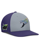 Nike Men's /Purple Tampa Bay Rays Pro Performance Snapback Hat