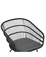 Outdoor Rattan Dining Chairs - Set of 2, Gray Base