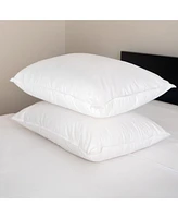 2 Pack Medium Down & Feather Chamber Bed Pillow