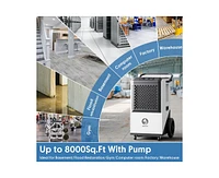 250-Pint 1-Speed Dehumidifier Energy Star (For Rooms 3001+ sq ft)