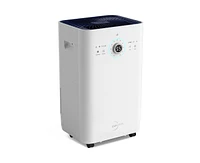 125-Pint 2-Speed Dehumidifier Energy Star (For Rooms 3001+ sq ft)