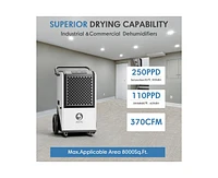250-Pint 1-Speed Dehumidifier Energy Star (For Rooms 3001+ sq ft)