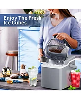 Zafro Ice Maker Countertop, 26Lbs/24H, 2 Sizes Bullet Ice Cubes with Handle, 9 Cubes in 6 Mins, Portable Ice Machine with Self-Cleaning, for Office/Do