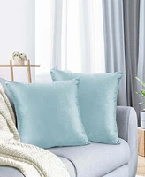 Nestl Elegant Velvet Removeable Cover 2-Pack Decorative Pillows