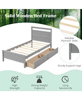 Twin Wooden Bed Frame with 2 Drawers for Teens and Adults
