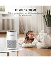 AromaRoom Air Purifiers for Bedroom, H13 Hepa Air Purifier for Home with Fragrance Sponge, Portable Air Cleaner for Smoke, Allergies, Pet Hair Dander,