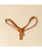 Kandog Roma Harness