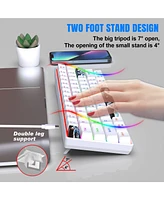 60% Mechanical Gaming Keyboard,61 Keys Blue Switches,Wired Mechanical Keyboard with Led Backlit,Compact Ergonomic Keyboard (White)