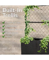 3-Section Tall Wicker Planter Box with Trellis - 3 Removable Plastic Inserts - Raised Garden Bed with Trellis - 33" W x 11.75" D x 57.75" H
