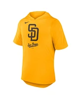 Nike Men's Gold San Diego Padres Tri-Blend Performance Hoodie T-Shirt