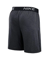 Nike Men's Navy Minnesota Twins Authentic Collection Performance Knit Shorts