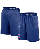 Nike Men's Royal Chicago Cubs Authentic Collection Performance Knit Shorts