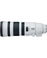 Canon Ef 200-400mm f/4L Is Usm Extender 1.4x Lens