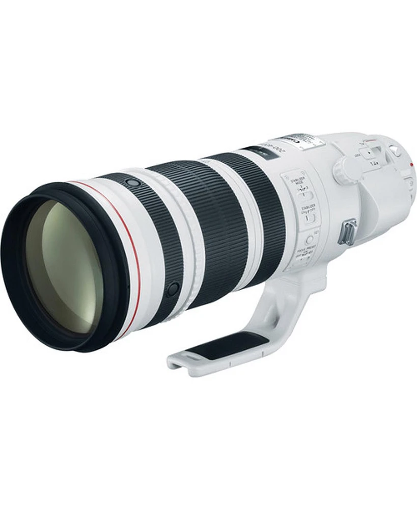 Canon Ef 200-400mm f/4L Is Usm Extender 1.4x Lens