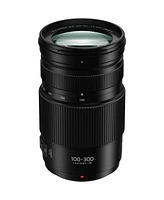 Panasonic Panasonic Lumix G Ii Vario 100-300mm f/4.0-5.6 Lens, Mirrorless Micro Four Thirds, Power O.i.s. Bundle Hoya Nxt Plus 58mm 10-Layer Hmc Multi