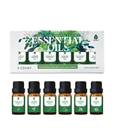 100% Pure Natural Essence Essential Oils Collection – Aromatherapy at Its Finest!
