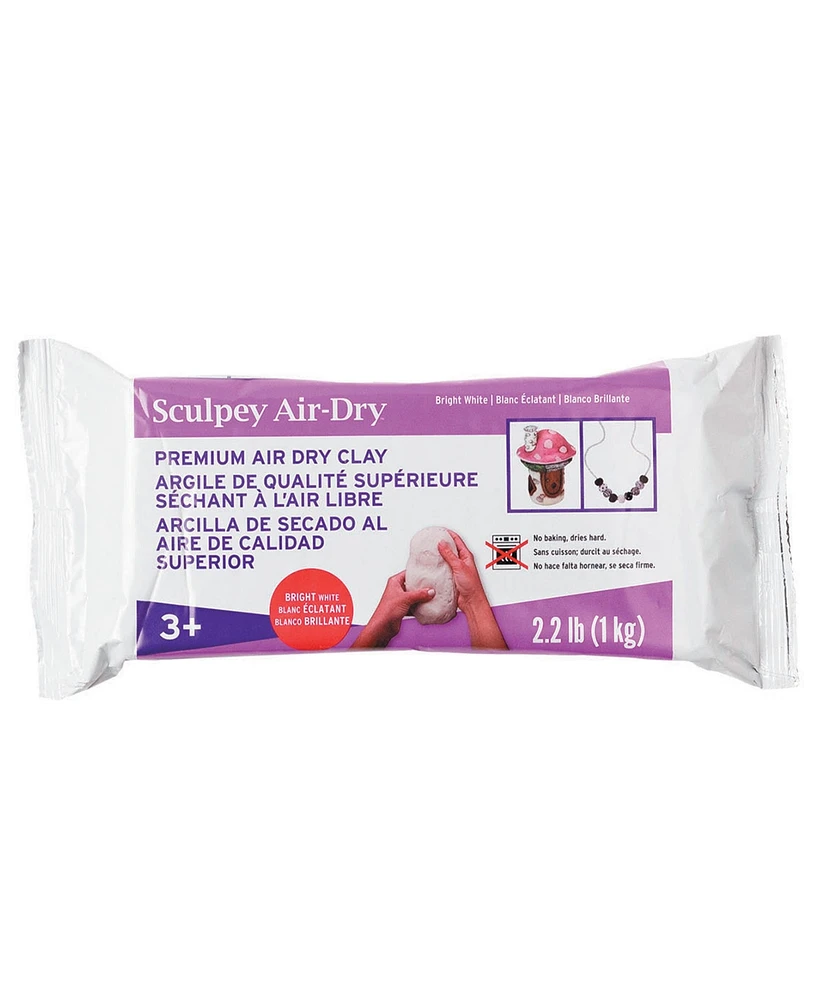Sculpey Air-Dry: White