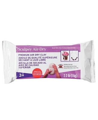 Sculpey Air-Dry: White