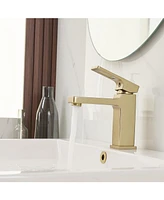 Single Hole Single-Handle Low-Arc Bathroom Faucet Water-Saving Vanity With Drain Kit Brushed Gold