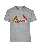 Soft As A Grape Big Boys and Girls 2-Pack Red/Gray St. Louis Cardinals T-Shirt Set