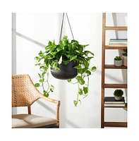 Rancer Planter