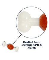 Country Living Nylon Beef Bone Dog Chew Toy – Durable Tpr Nylon for Healthier Teeth and Gums, Perfect for Small Breeds