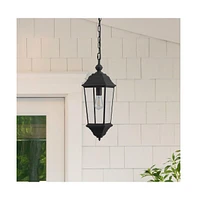Teri Outdoor Pendant