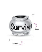 Bling Jewelry Set of 2 Ribbon Breast Cancer Survivor Message Dangle Charm Bead Sterling Silver for European Bracelet
