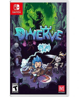 Dwerve for Nintendo Switch