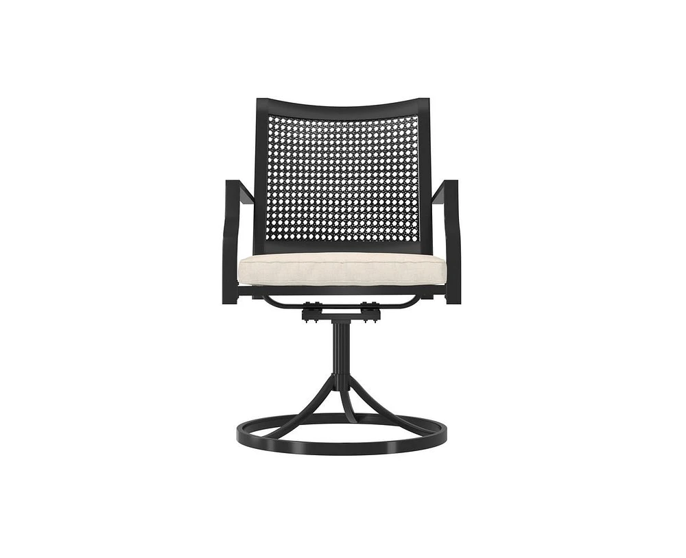 Casainc Outdoor Iron Frame Swivel Dining Chair with Cushions (Set of 2)