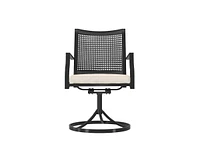 Casainc Outdoor Iron Frame Swivel Dining Chair with Cushions (Set of 2)